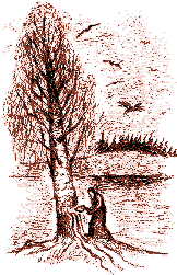 gl6.gif (8149 bytes)